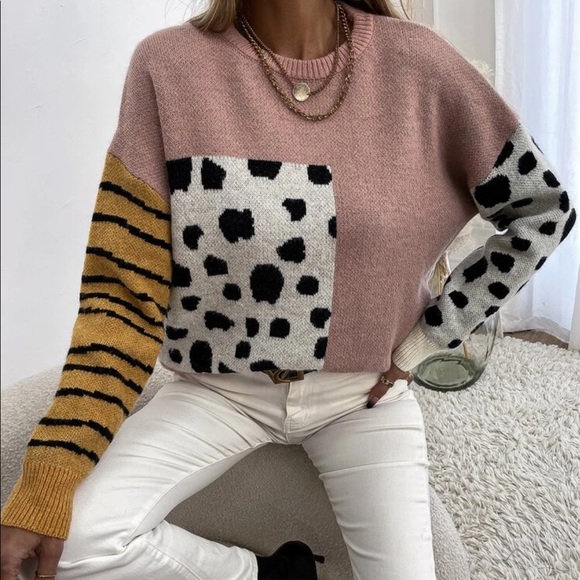 Leopard print stripes color block Sweater - Picture 6 of 6